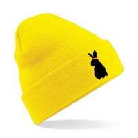 Load image into Gallery viewer, The Animal Advocacy Project - Original Beanie
