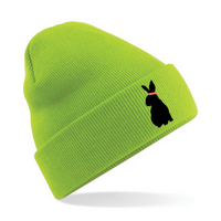 Load image into Gallery viewer, The Animal Advocacy Project - Original Beanie
