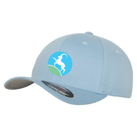 Load image into Gallery viewer, Cooden Beach Sports &amp; Social Club - Club Cap
