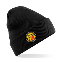 Load image into Gallery viewer, London Advanced Motorcyclists - Club Beanie
