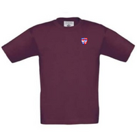 Load image into Gallery viewer, Hants and Berks Motor Club Ltd - Kids Classic T-Shirt
